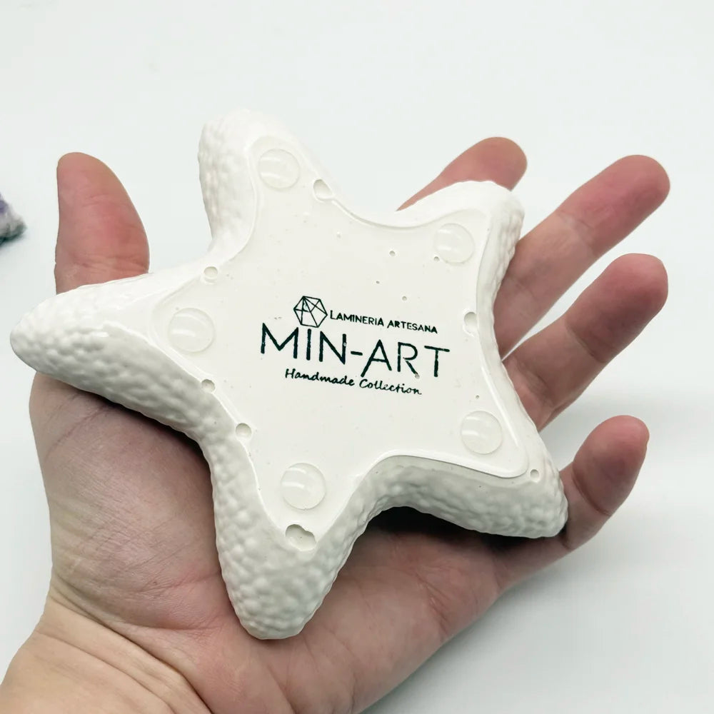 Min-Art Estrellita de Mar