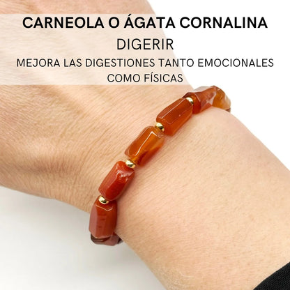 Pulsera de Carneola en oro | Digerir y fuerza